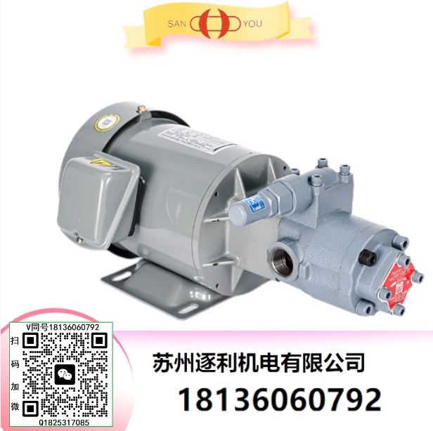 臺(tái)灣SANYOU油泵 SAN YOU油泵RBB-216Y RBB-210Y RBB-202Y